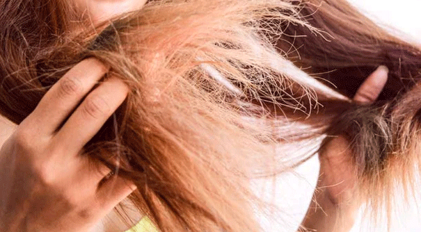 8 Soins Capillaires pour les Cheveux Secs